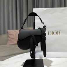 Dior Saddle Bags